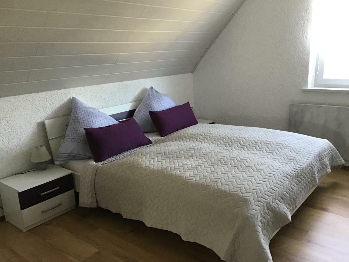 Ferienwohnung Elina Maxhutte-Haidhof Exteriér fotografie