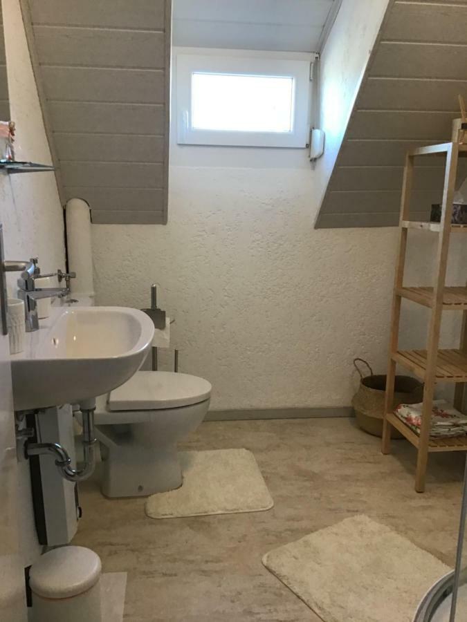 Ferienwohnung Elina Maxhutte-Haidhof Exteriér fotografie